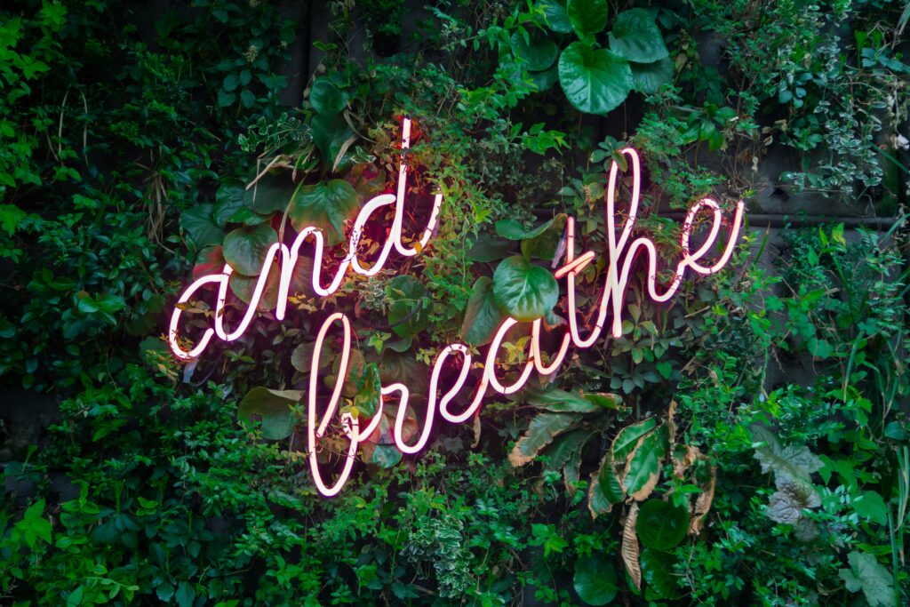 Photo of leaves with a pink neon sign that says "And Breath" by Max Van Den Oetelaar Image Free from Unsplash